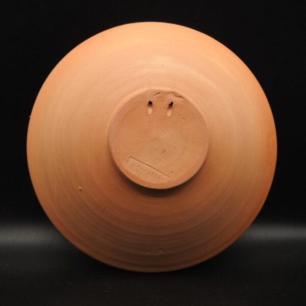Farfurie de Cucuteni